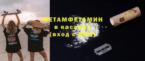 прущие грибы Бородино