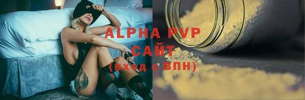 прущие грибы Бородино