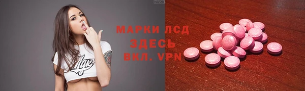 прущие грибы Бородино