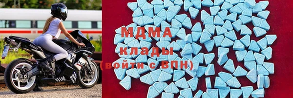 прущие грибы Бородино