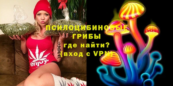 гидропоника Верея